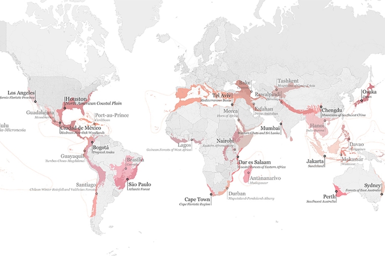 World map showing hot spot cities in red