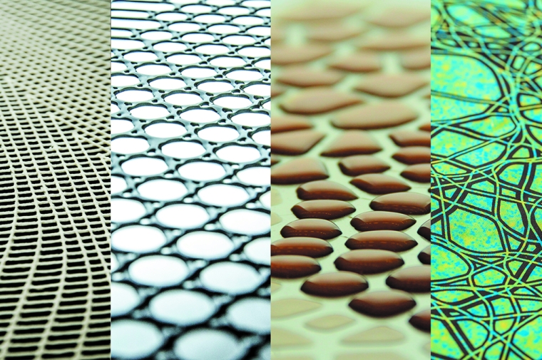 Composite of four images with repeating natural patterns