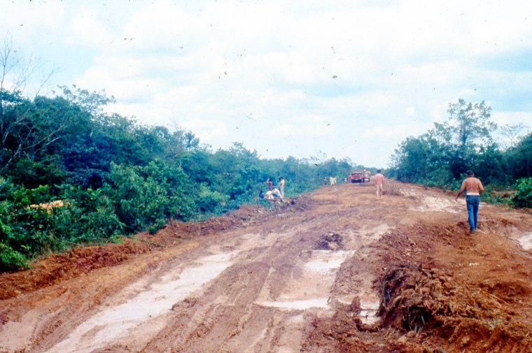 Forest cleared for highway in 1980s Brazil