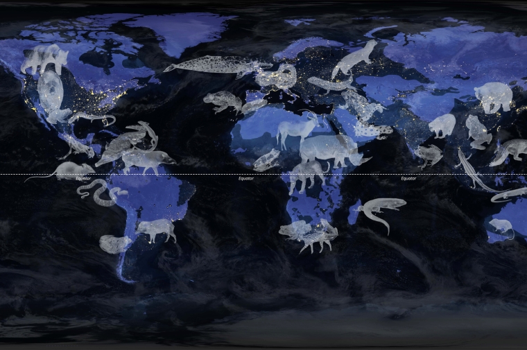Ghostly white and grey images of animals hover over blue shapes on top of the globe lit by nighttime light. 