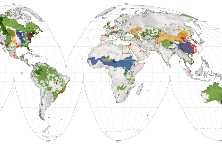 Map of world showing trans-national regions of activity on all 7 continents