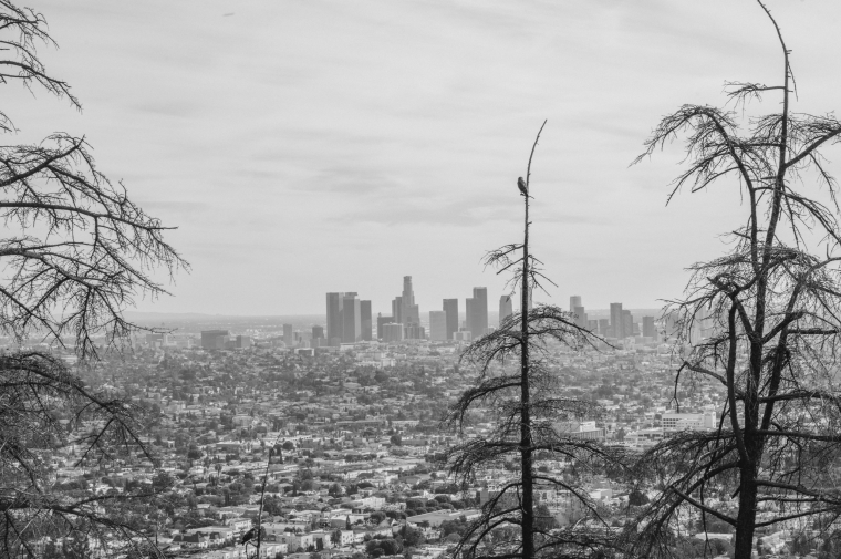 black and white landscape 