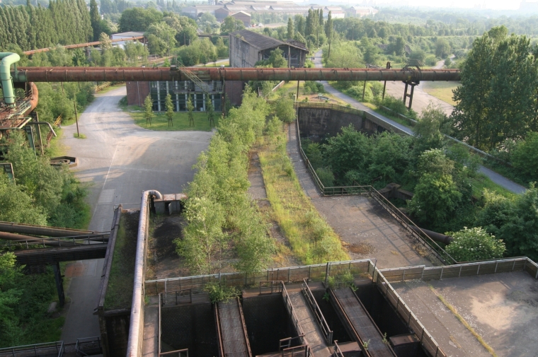 Abandoned industrial infrastructure overgrown by plants