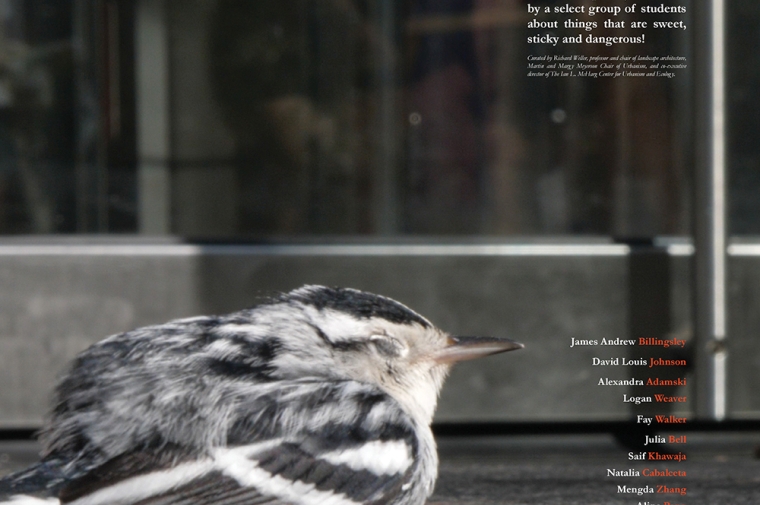 Poster for Nectar exhibit showing bird next to glass facade
