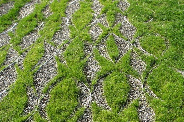 Pattern on the ground grown out of grass