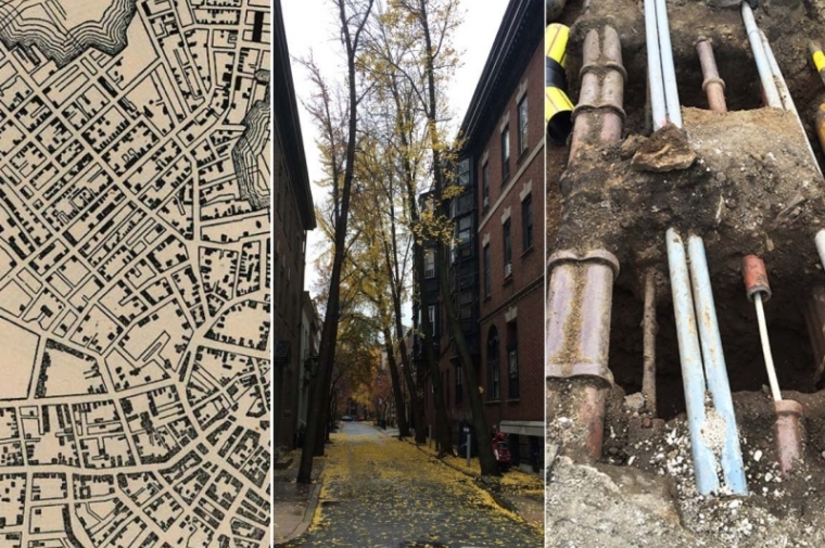 Three intersecting systems of Boston’s public realm — city streets, street trees, and leaking underground methane — whose interactions Pevzner’s project will explore.