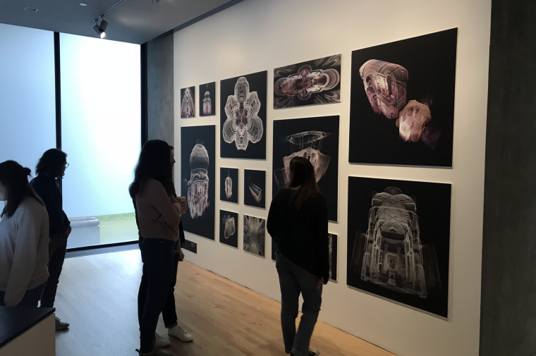 Baroque topologies gallery display
