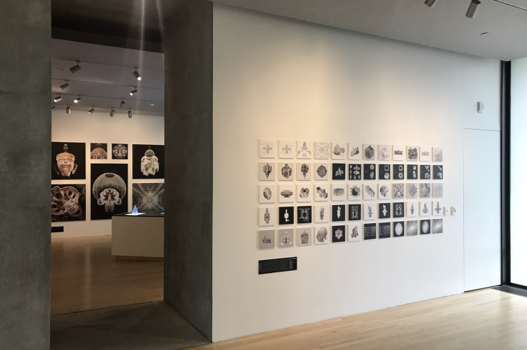 Baroque topologies gallery display