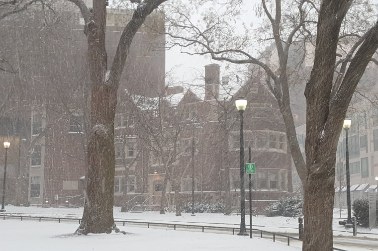 Snow falling on Penn Campus