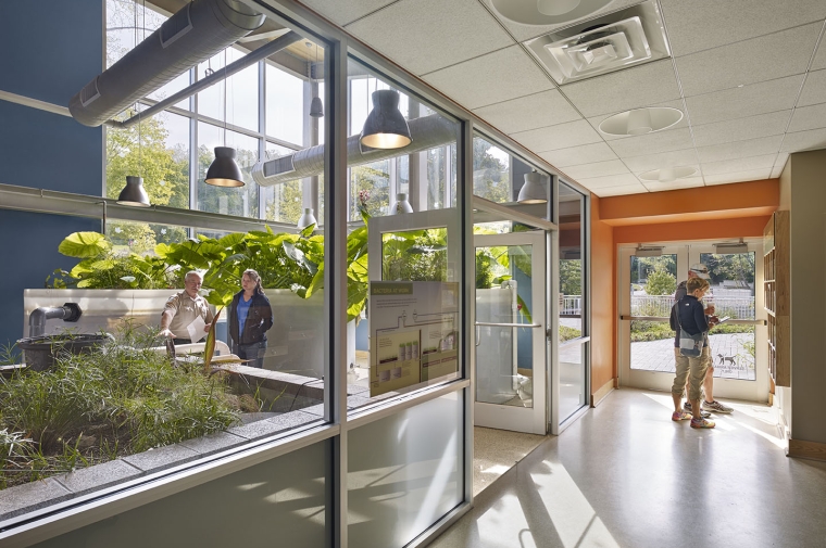 Two interior spaces connected by windows, one of them is a hallway, the other is a greenhouse
