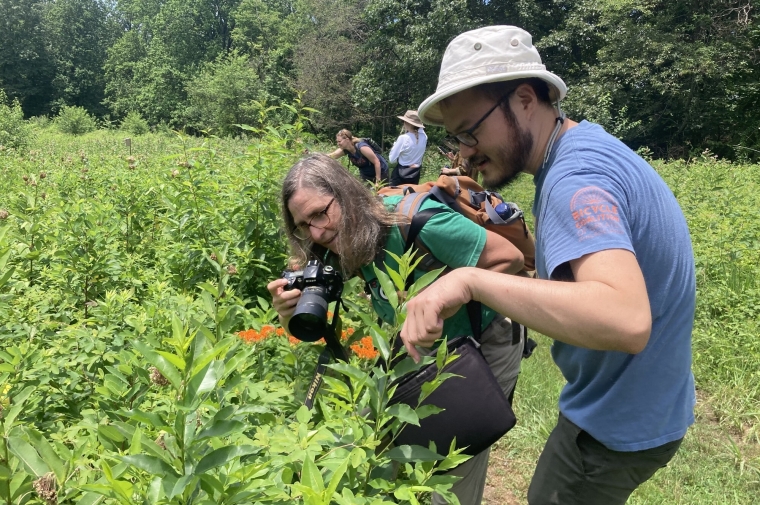 A woman and man examine plants in field 