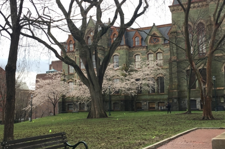 Penn campus with cherry blossom in bloom 