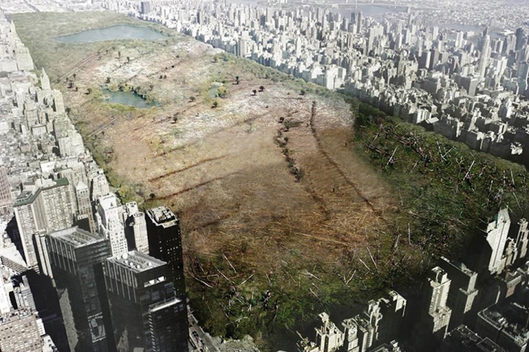 Central Park, New York, as imagined by LA+ Journal following an eco-terrorist attack