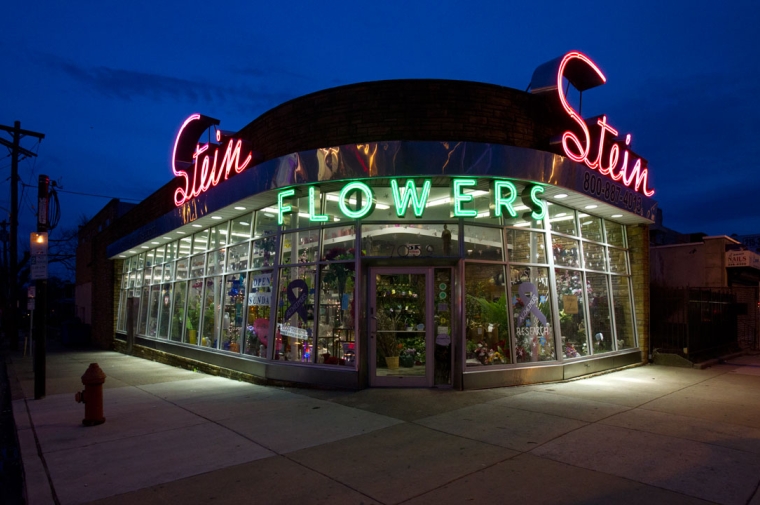 Stein's Florists