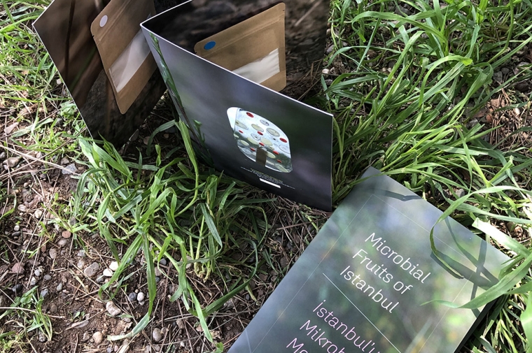 Printed brochure with attached envelopes sitting on grass