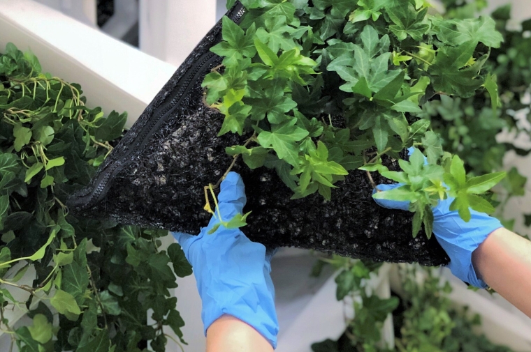 Hands holding a piece of a filter with plants to be inserted into a building opening