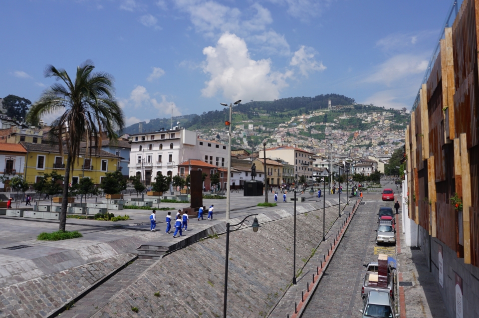 urban landscape with mountain and palm trees