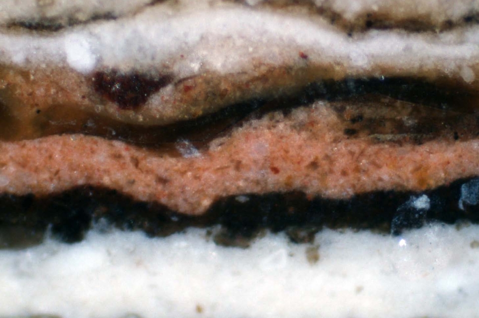 microscopic cross section of paint layers