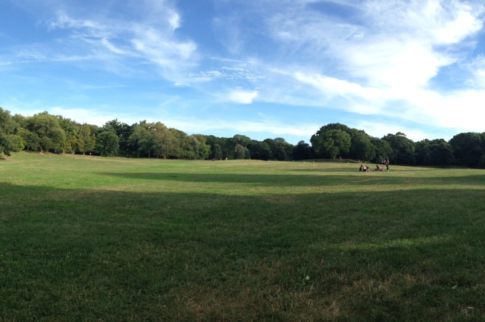 green open space with trees in background