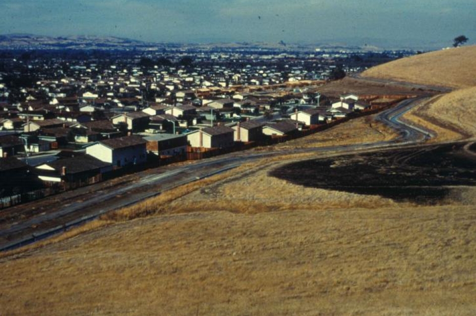 Houses next to open field