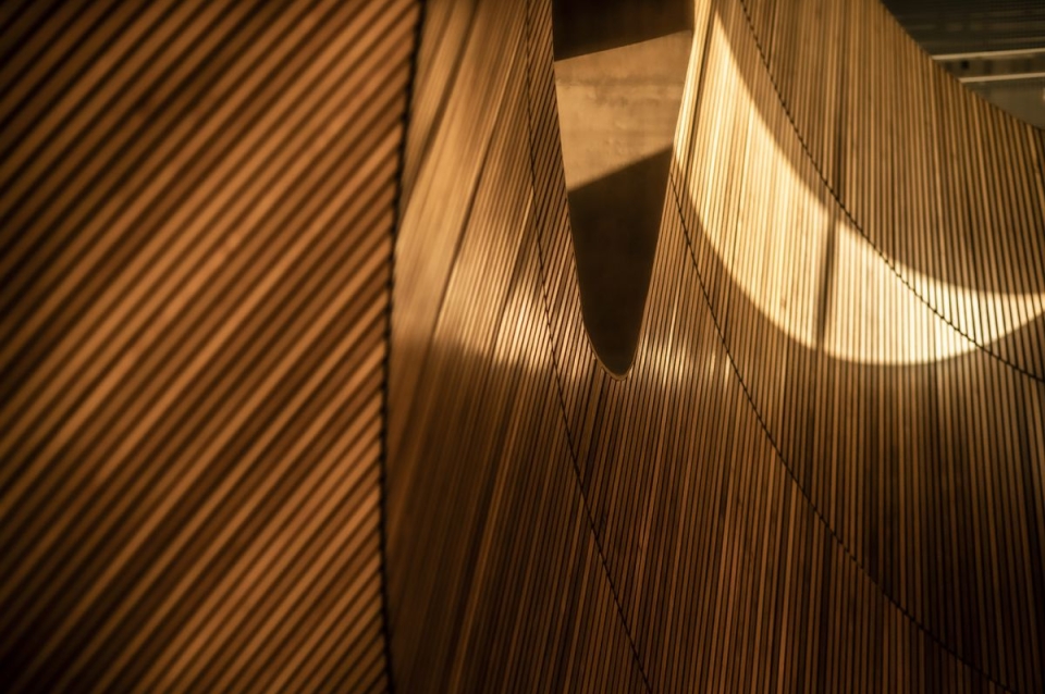 Imange of design within Charles Library
