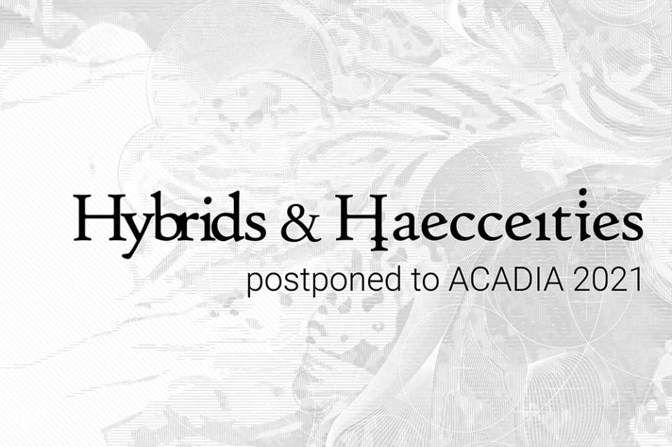 Abstract patterned background with "Hybrids & Haecceities"