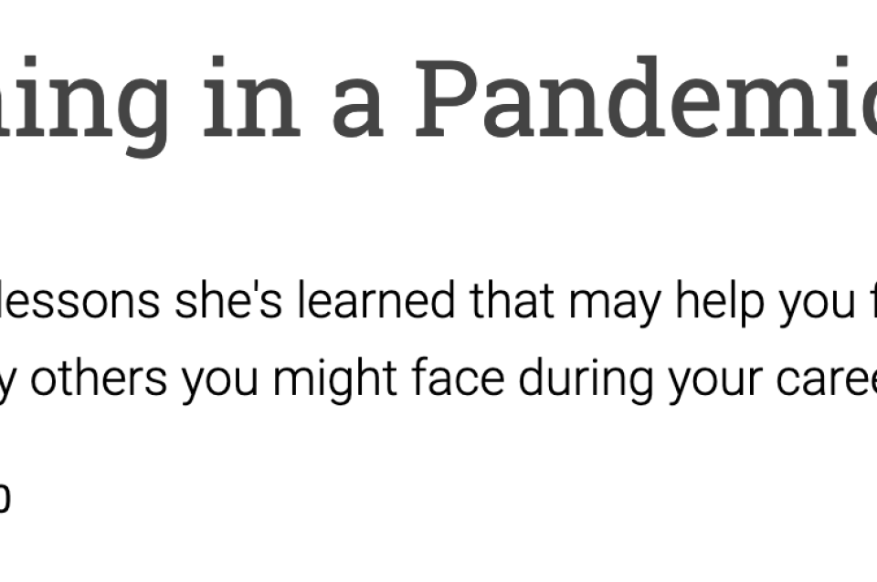 Screenshot of blog post "Career Planning in a Pandemic"