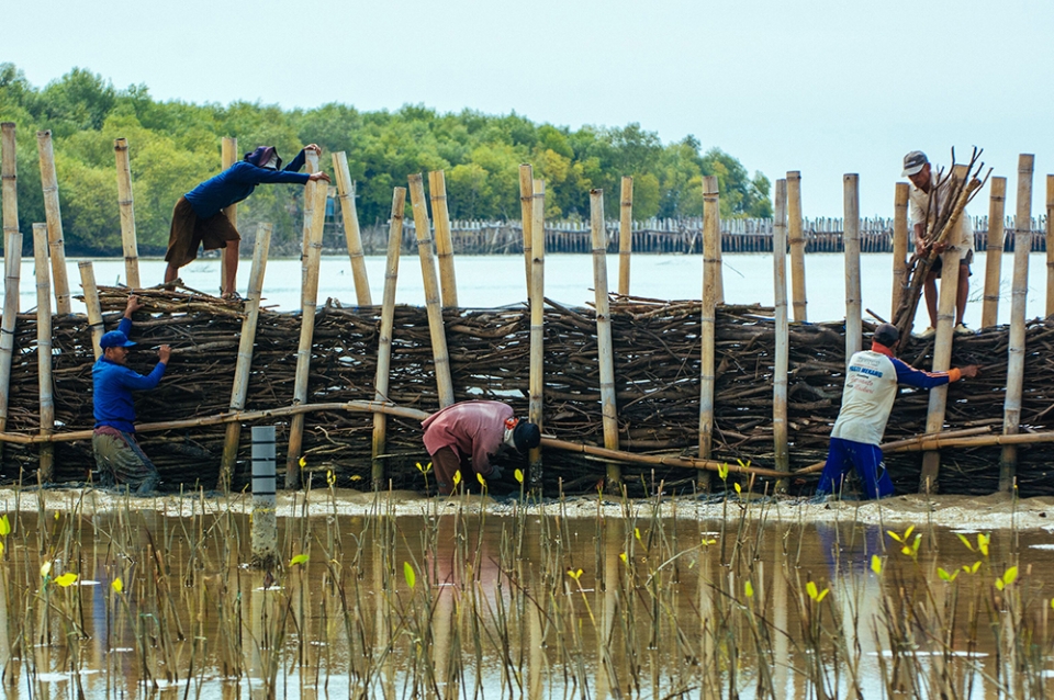 Five men constructing a wall-like structure in water out of bamboo and other natural materials