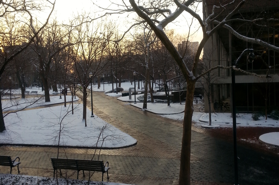 Campus laden with the first snow of winter