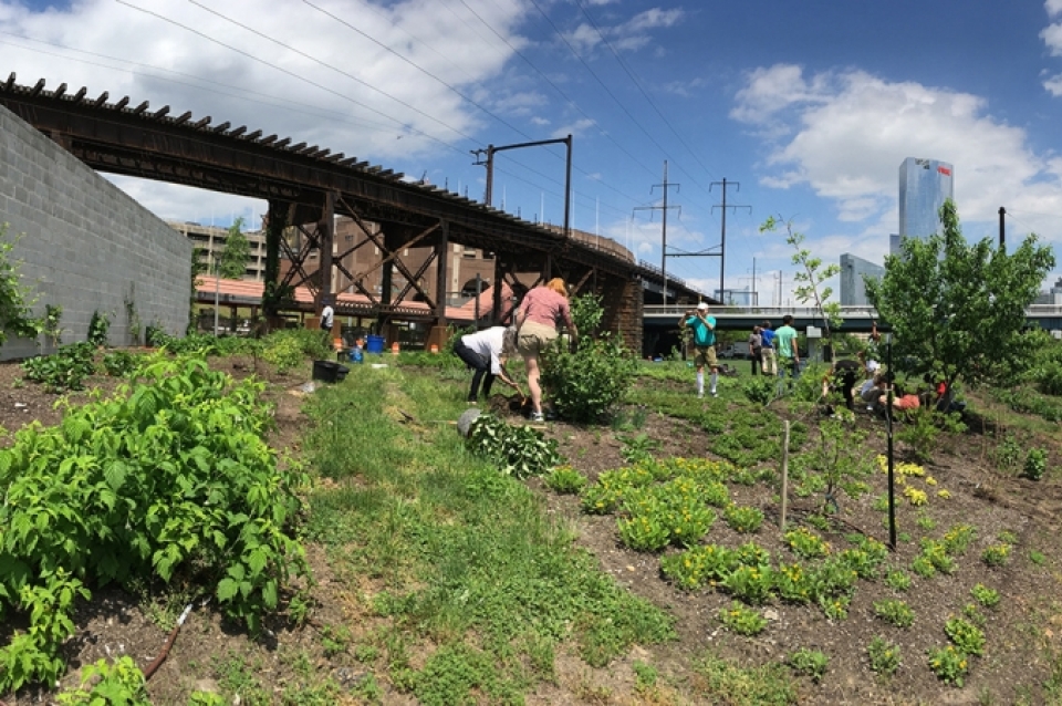 Garden on campus