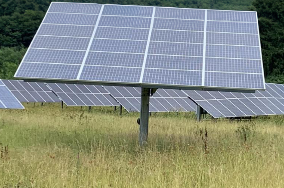 Photo of solar panels in field