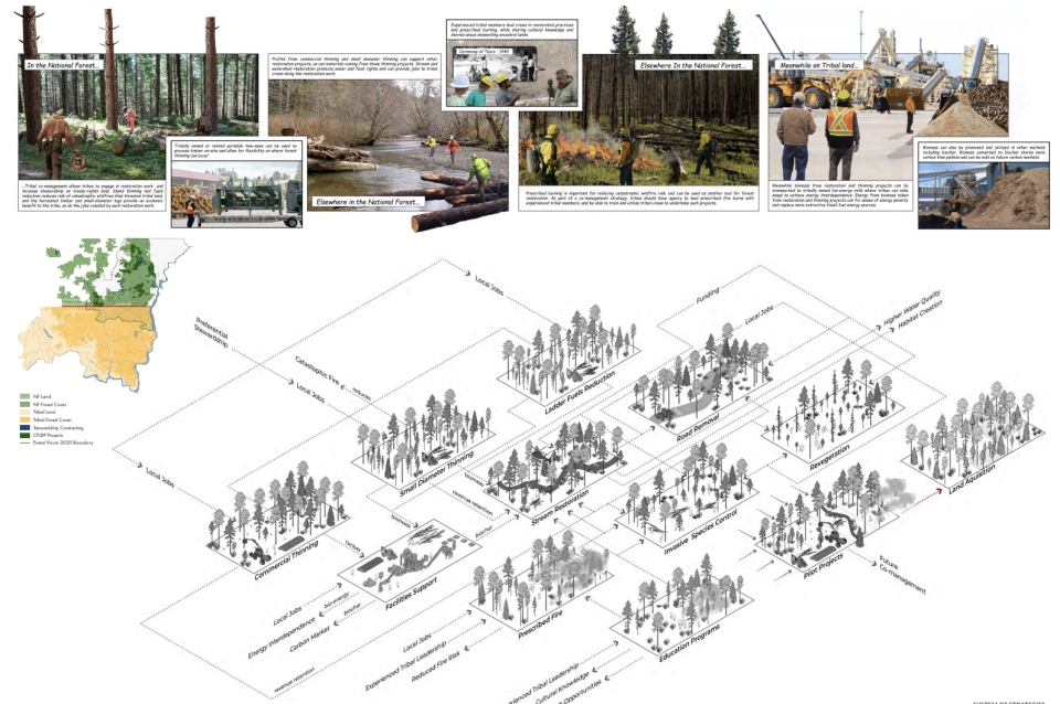 A series of illustrations depict forest management tools like controlled burns and thinning.