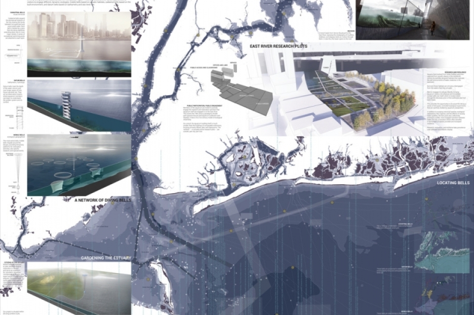 Merroir: Map of east river research plots