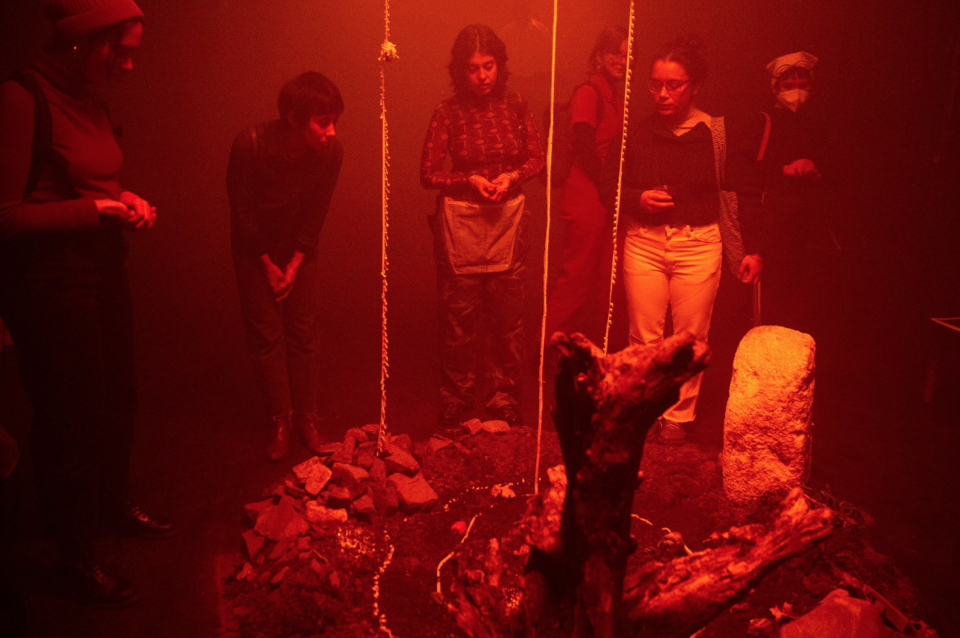 image of Nocturnal Medicine's work