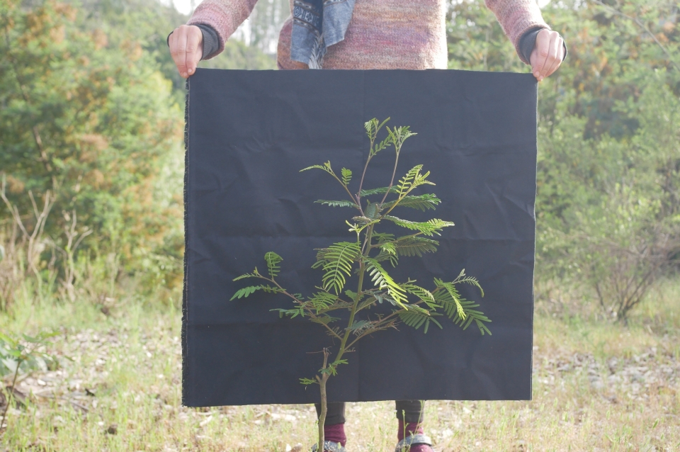 An image of Rosetta Elkin's work