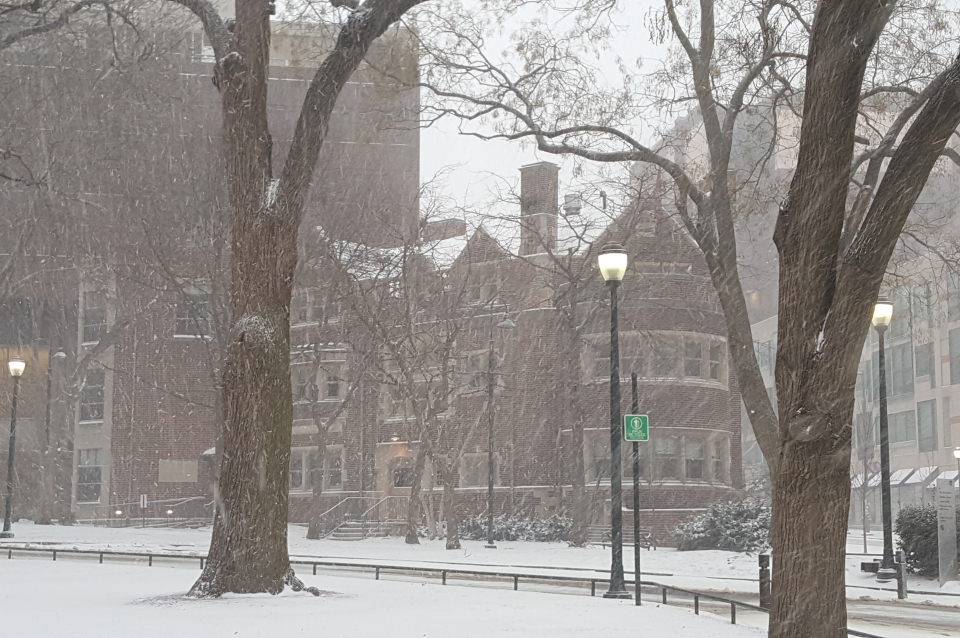 Snow on Campus