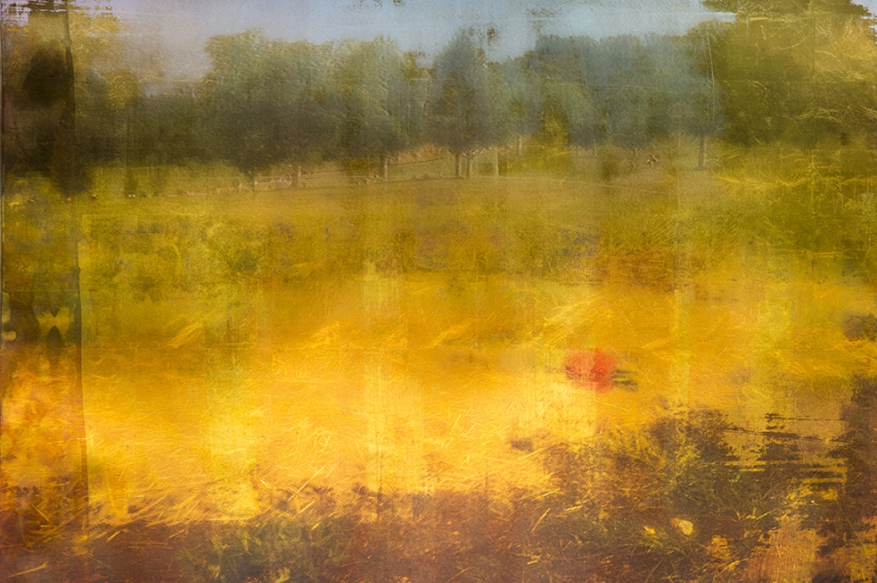 Garden of Faith (Summer Fever)