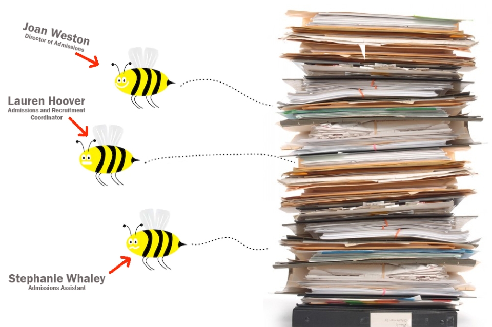 Illustration depicting staff members as bees