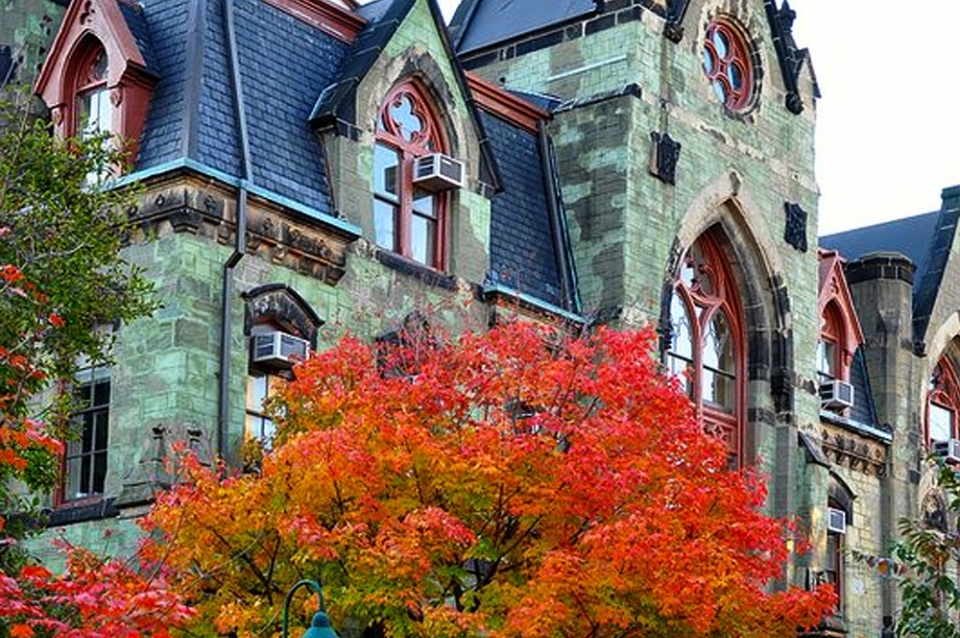 Fall colors on Penn Campus