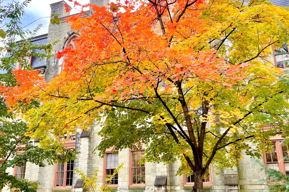 fall on campus