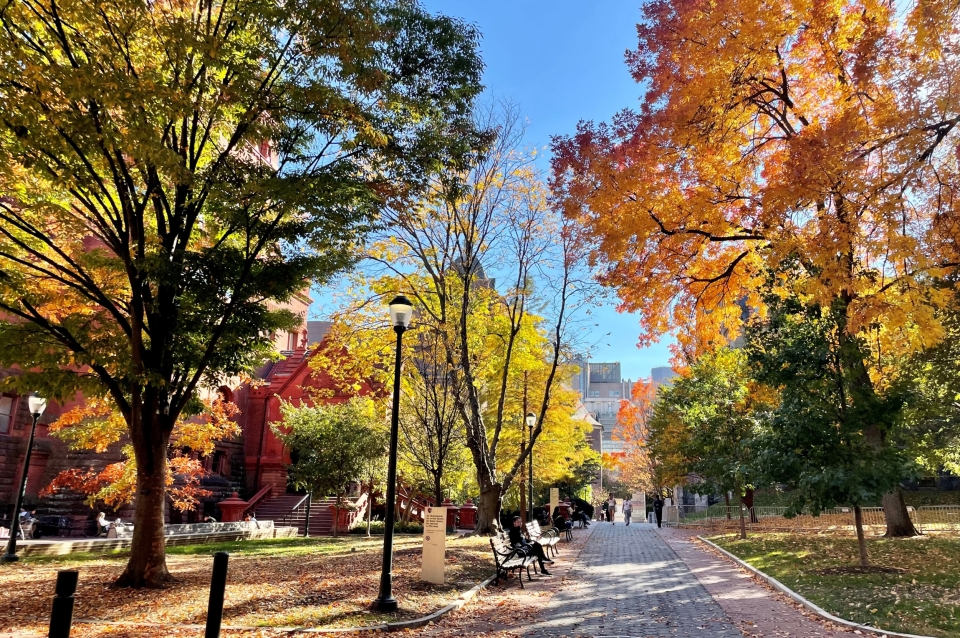 fall leaves on campus