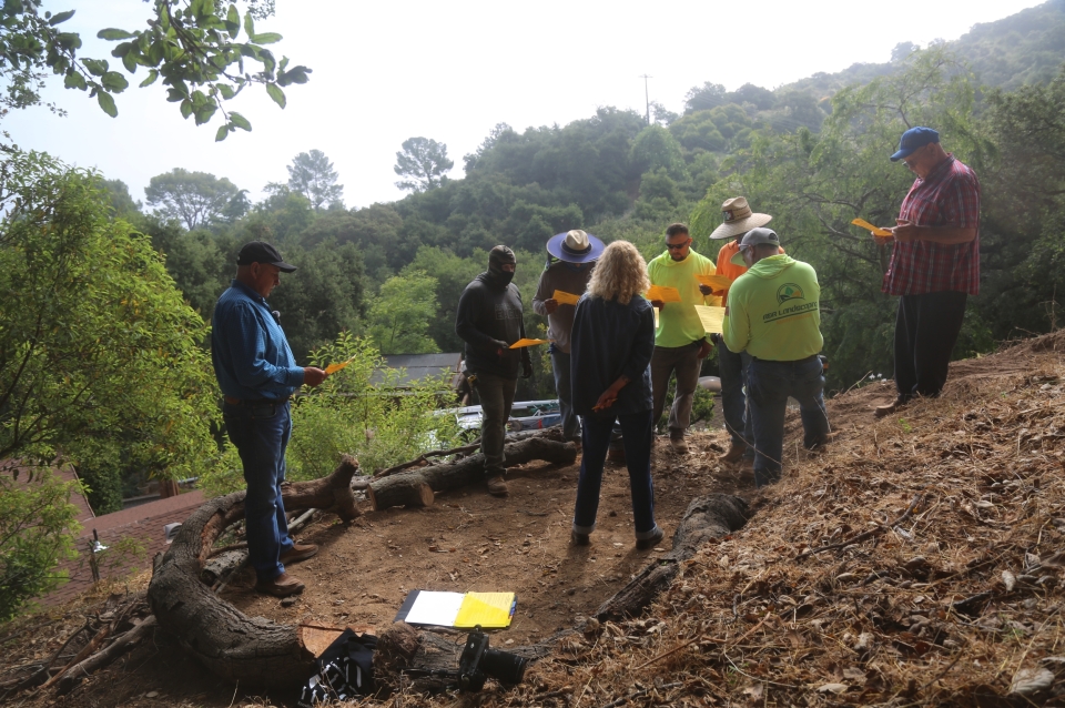 landscapers in workwear stand on the edge of a worksite surrounded by compost on the ground and a backdrop of green trees on the horizon 