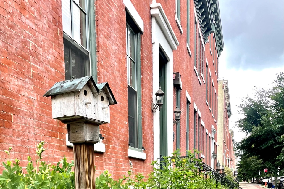 Image of classic Philly brownstown buildings.