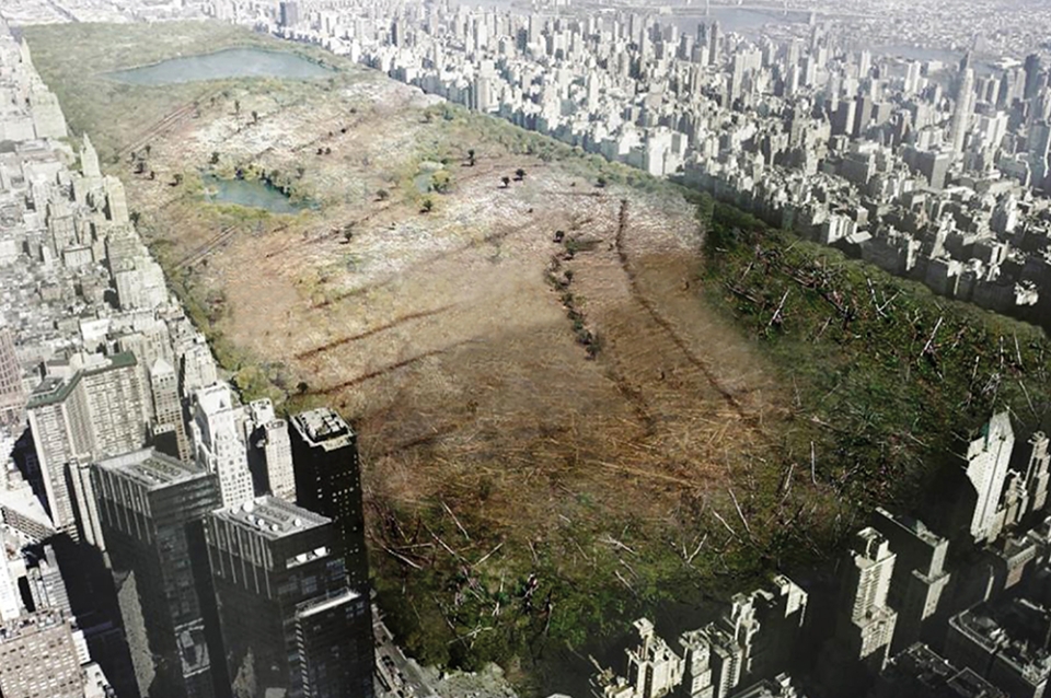 Central Park, New York, as imagined by LA+ Journal following an eco-terrorist attack