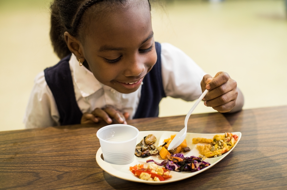 An elementary school student testing the plate
