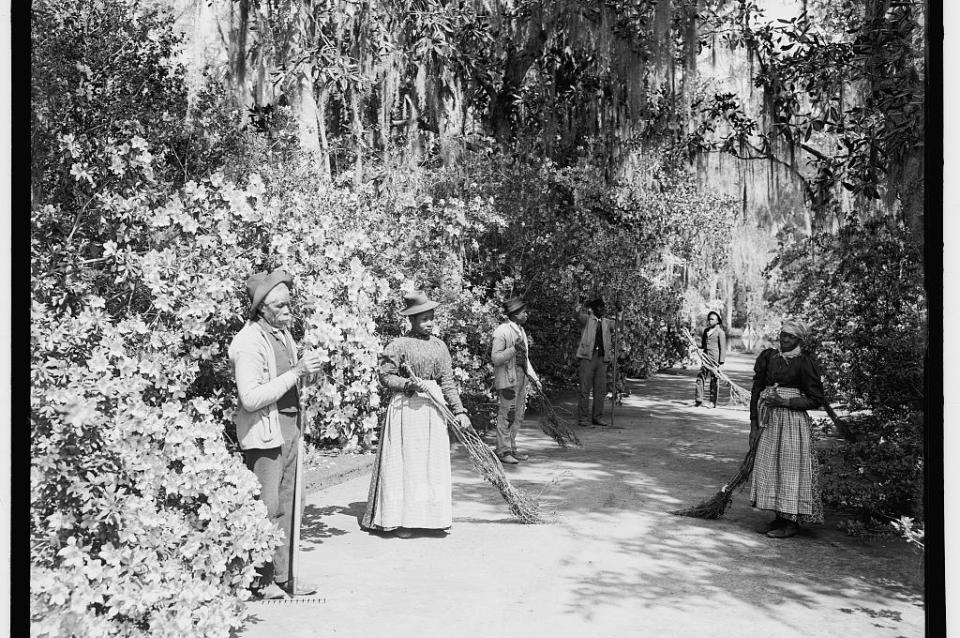 Photograph of Black men and women standing on a path through the trees
