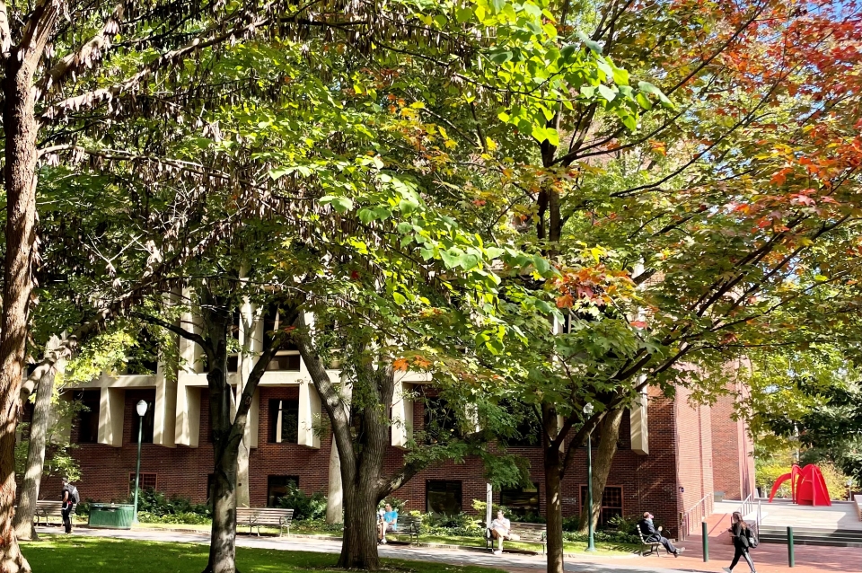Meyerson seen through the trees of campus