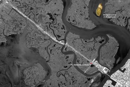 Aerial map of a wetland with Sturgeon Island highlighted
