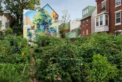 Public garden with mural and beautiful Philadelphia housing in the background