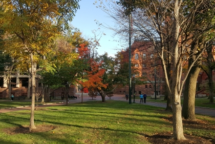 Penn Campus in fall